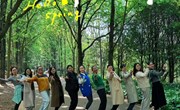 春暖花开，美丽同行——交通工程学院开展庆祝“三八”国际劳动妇女节活动