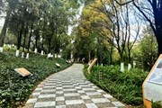 【高质量发展看魅力机电·管理保障篇】 建优管理保障体系 全面提升服务发展效能